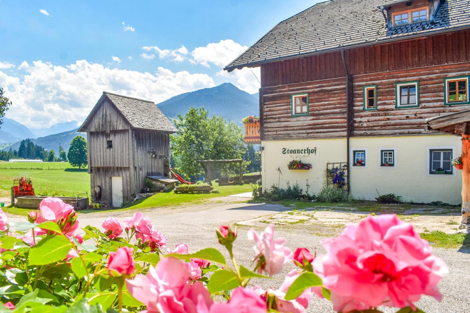 Stoanerhof Apartamento Schladming Exterior foto
